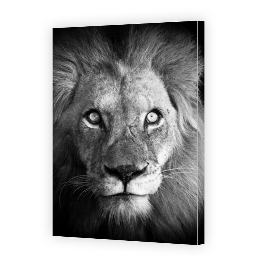 Thumbnail for Canvas - Gallery Canvas Wrap