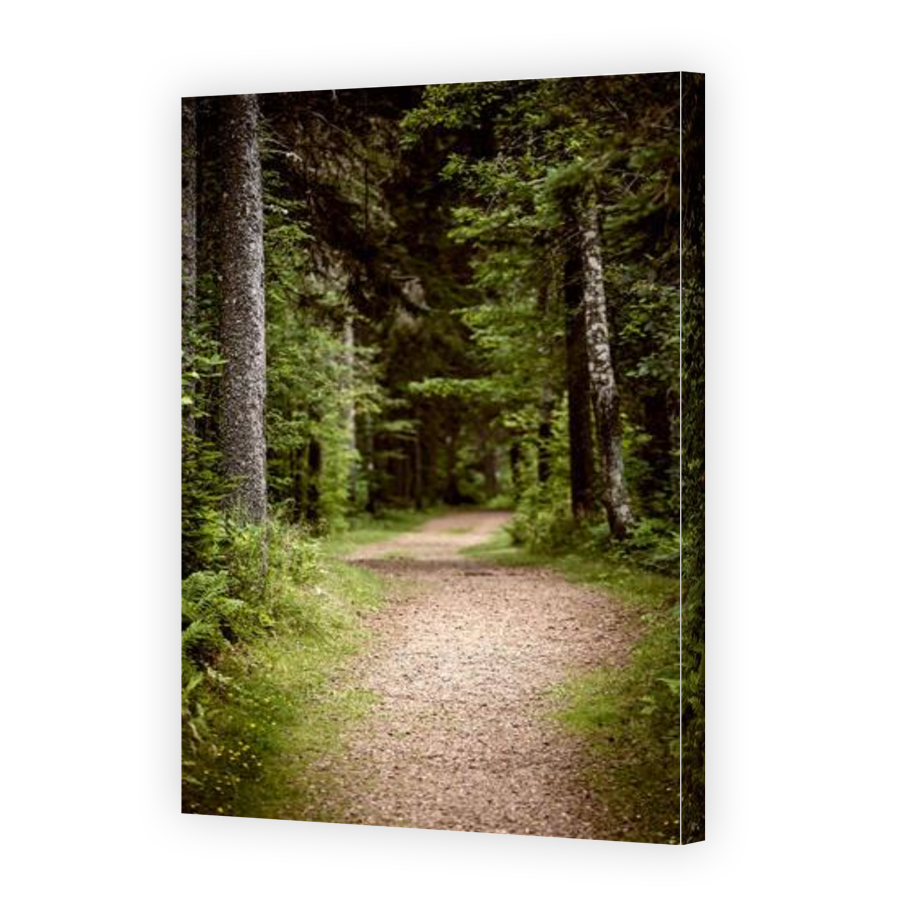 Thumbnail for Canvas - Gallery Canvas Wrap