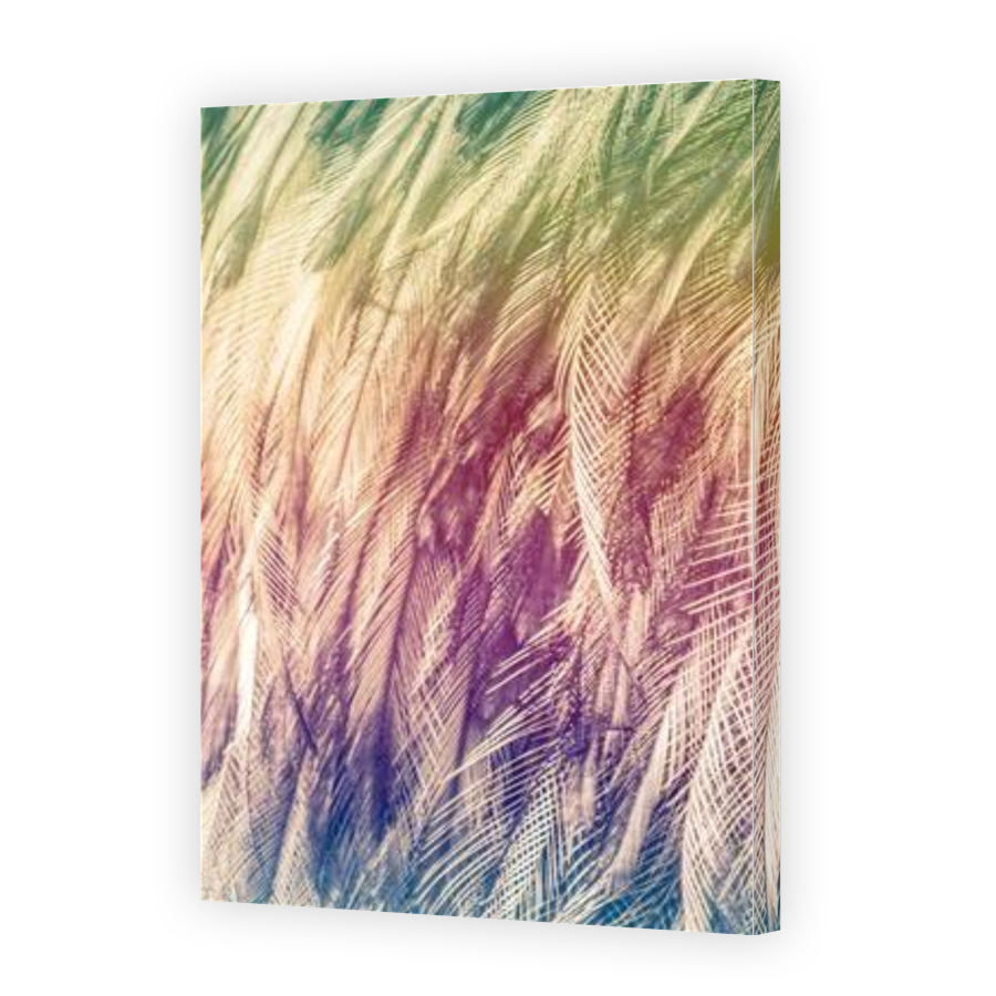 Thumbnail for Canvas - Gallery Canvas Wrap