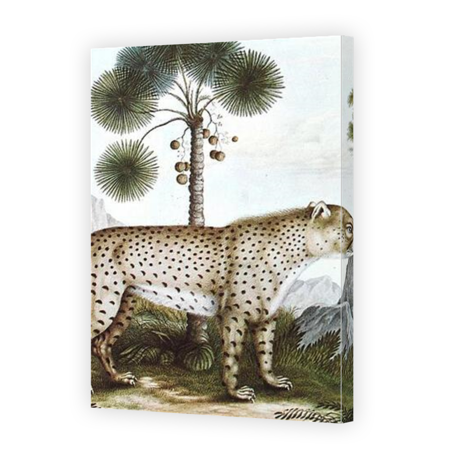 Thumbnail for Canvas - Gallery Canvas Wrap