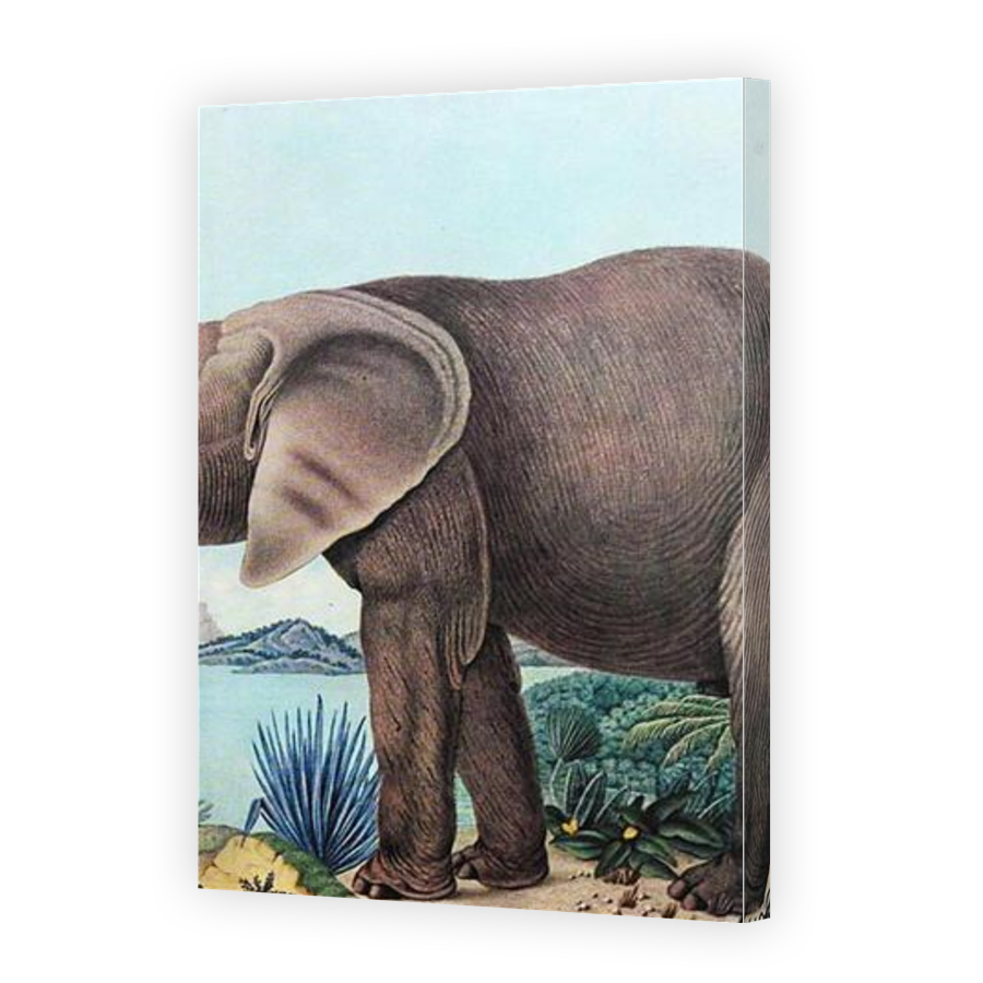 Thumbnail for Canvas - Gallery Canvas Wrap