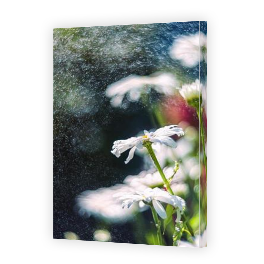 Thumbnail for Canvas - Gallery Canvas Wrap