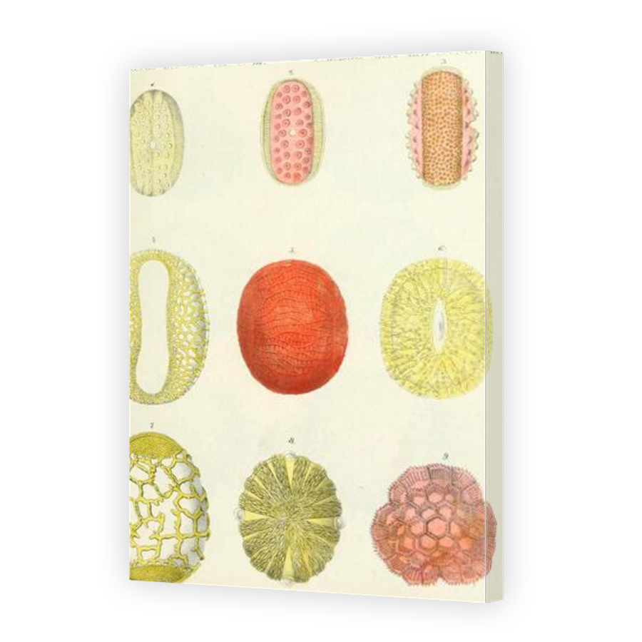 Thumbnail for Canvas - Gallery Canvas Wrap