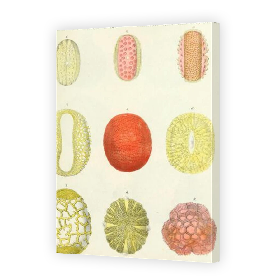 Thumbnail for Canvas - Gallery Canvas Wrap