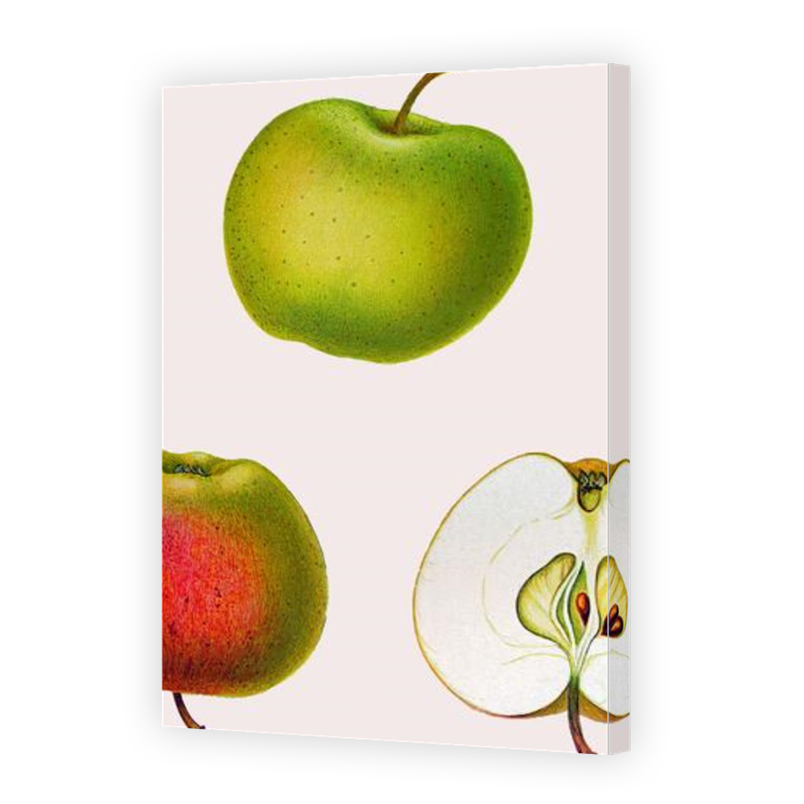 Thumbnail for Canvas - Gallery Canvas Wrap