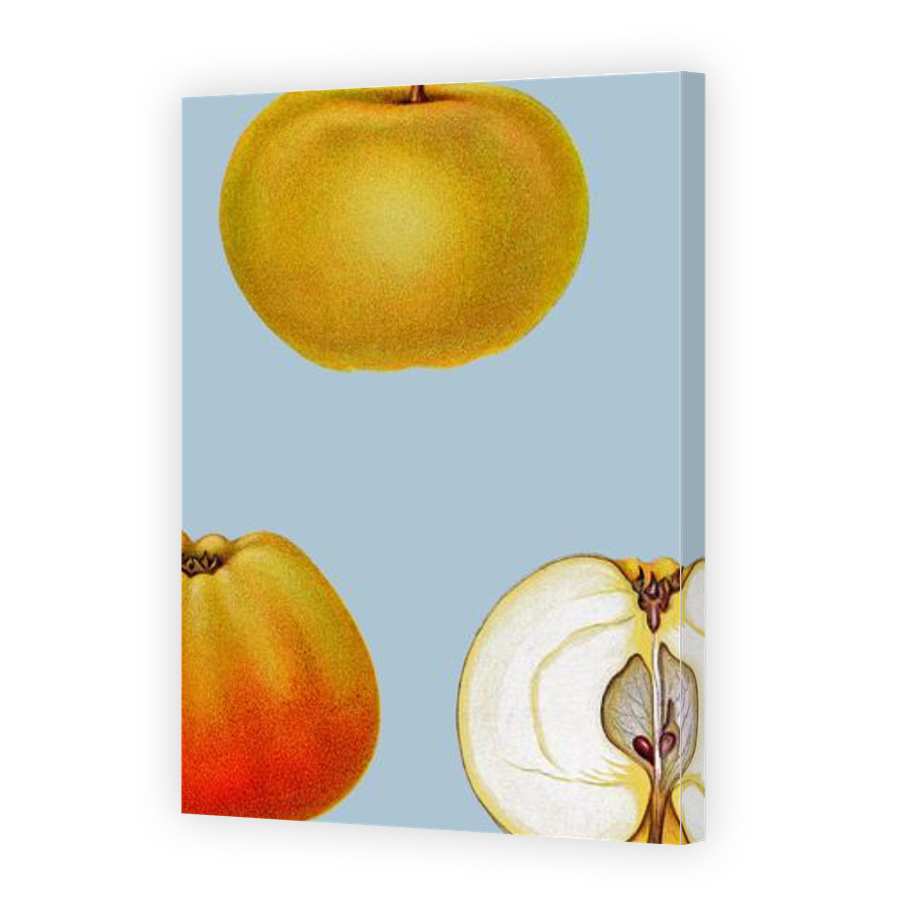 Thumbnail for Canvas - Gallery Canvas Wrap