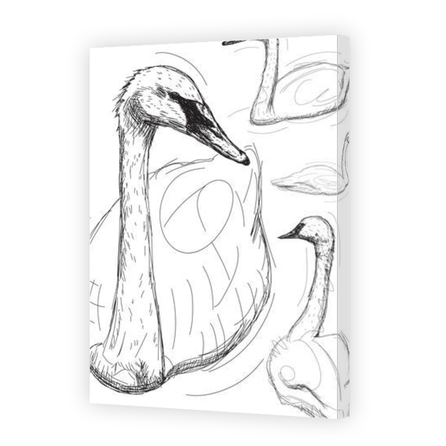 Thumbnail for Canvas - Gallery Canvas Wrap