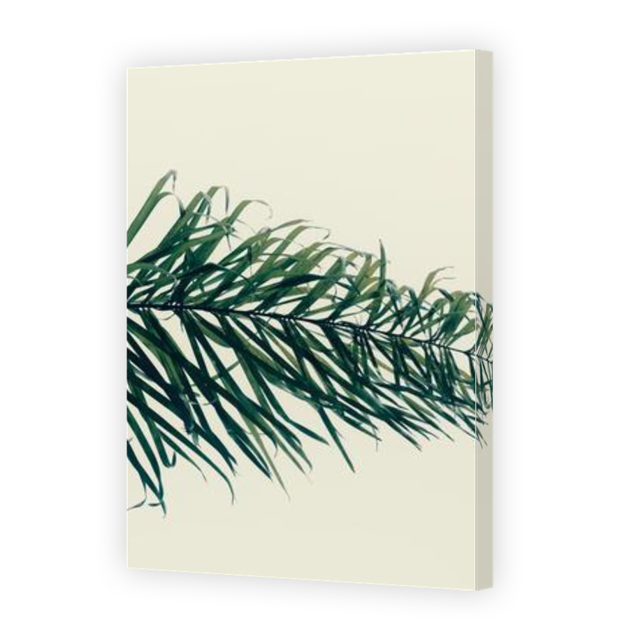 Thumbnail for Canvas - Gallery Canvas Wrap