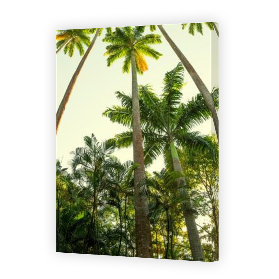 Thumbnail for Canvas - Gallery Canvas Wrap