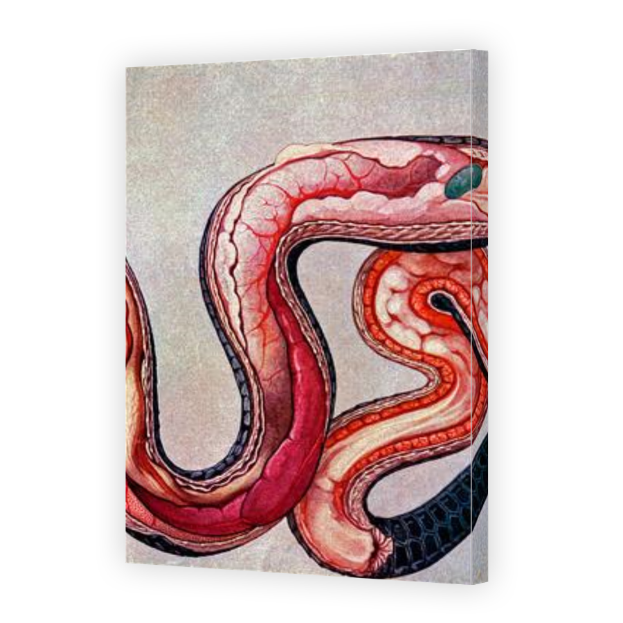 Thumbnail for Canvas - Gallery Canvas Wrap
