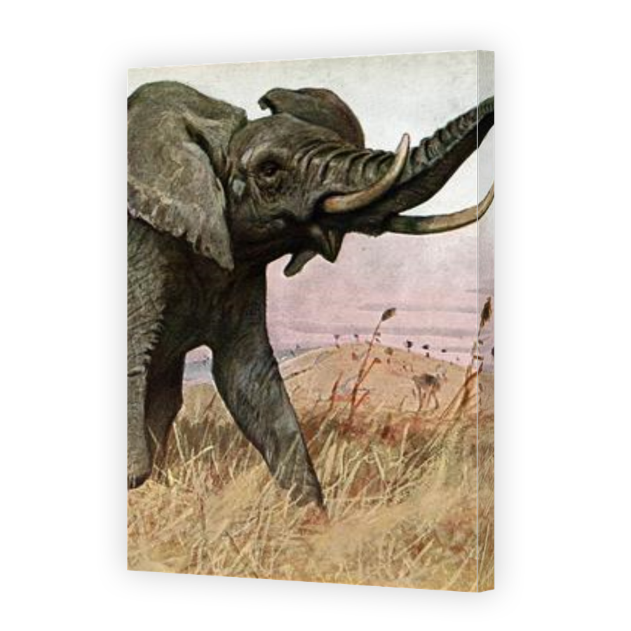 Thumbnail for Canvas - Gallery Canvas Wrap