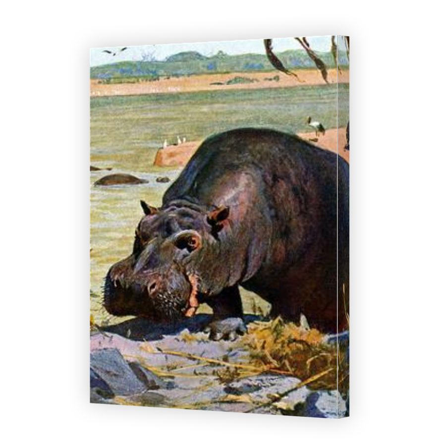 Thumbnail for Canvas - Gallery Canvas Wrap