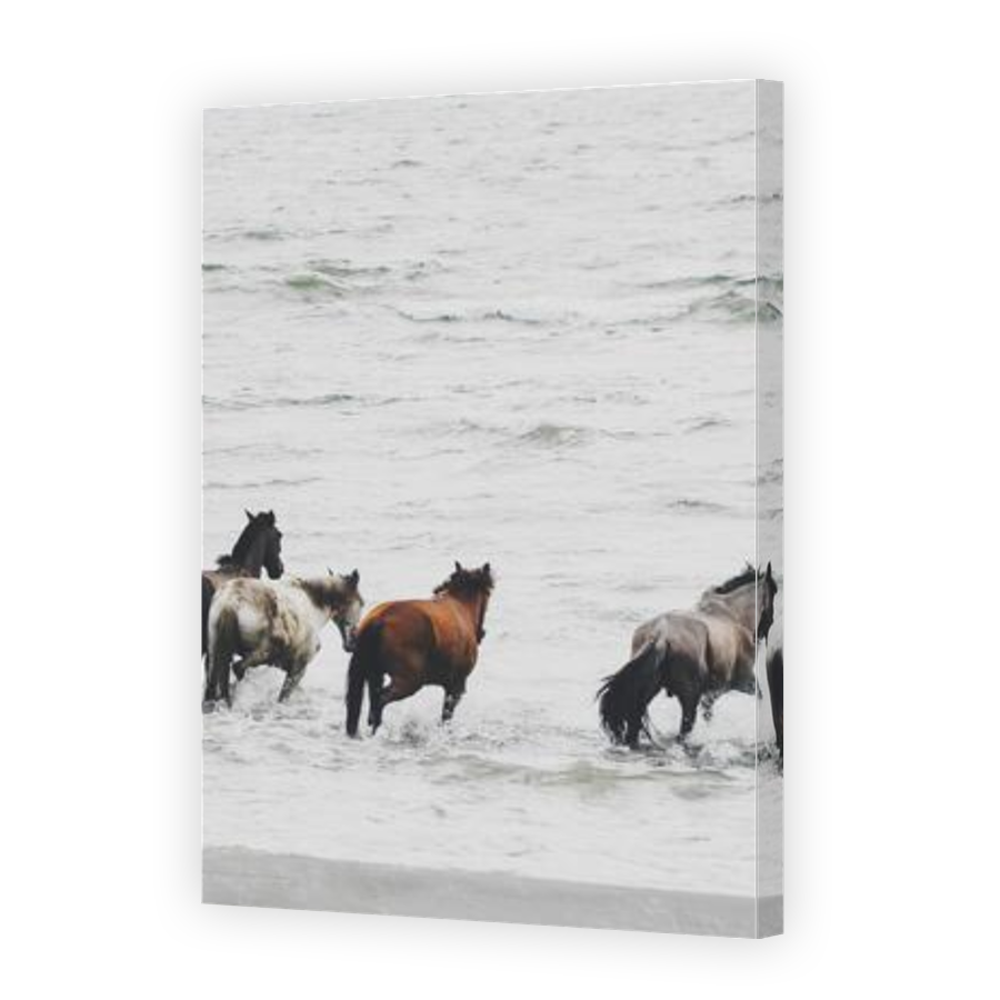 Thumbnail for Canvas - Gallery Canvas Wrap