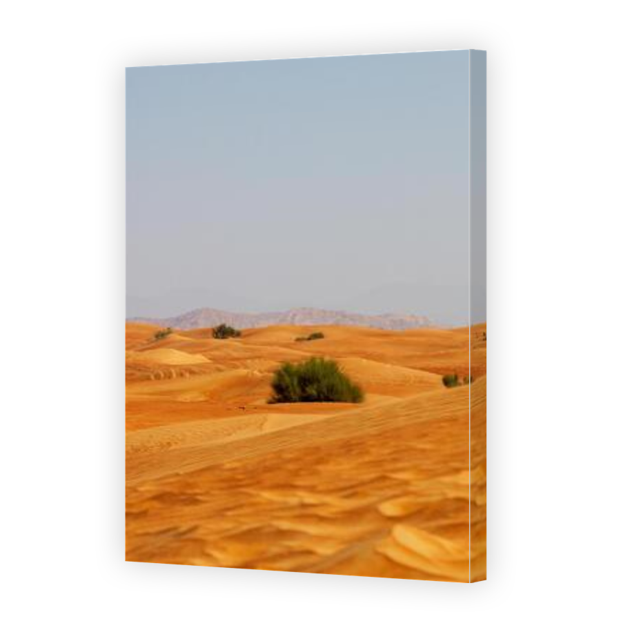 Thumbnail for Canvas - Gallery Canvas Wrap
