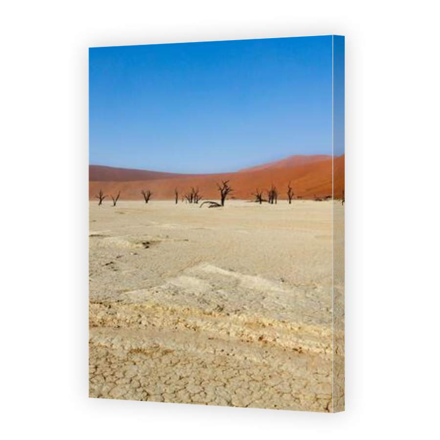 Thumbnail for Canvas - Gallery Canvas Wrap