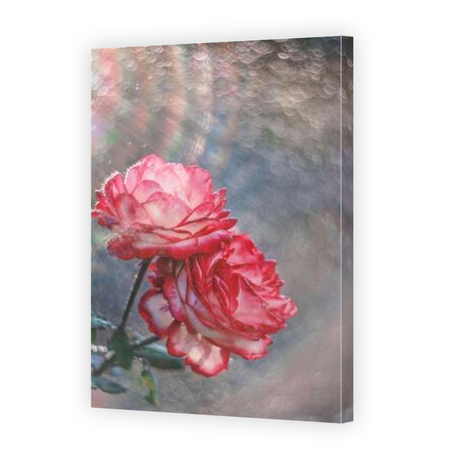Thumbnail for Canvas - Gallery Canvas Wrap