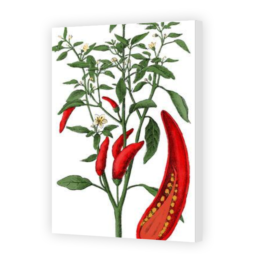 Thumbnail for Canvas - Gallery Canvas Wrap