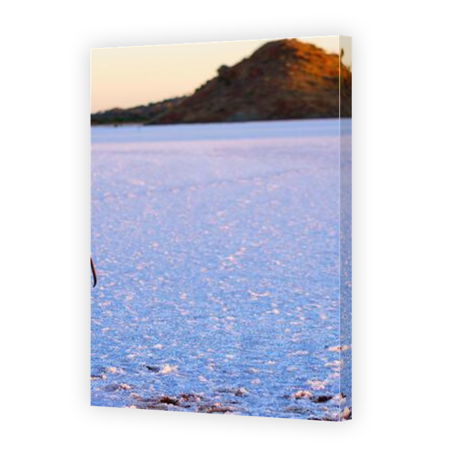 Thumbnail for Canvas - Gallery Canvas Wrap