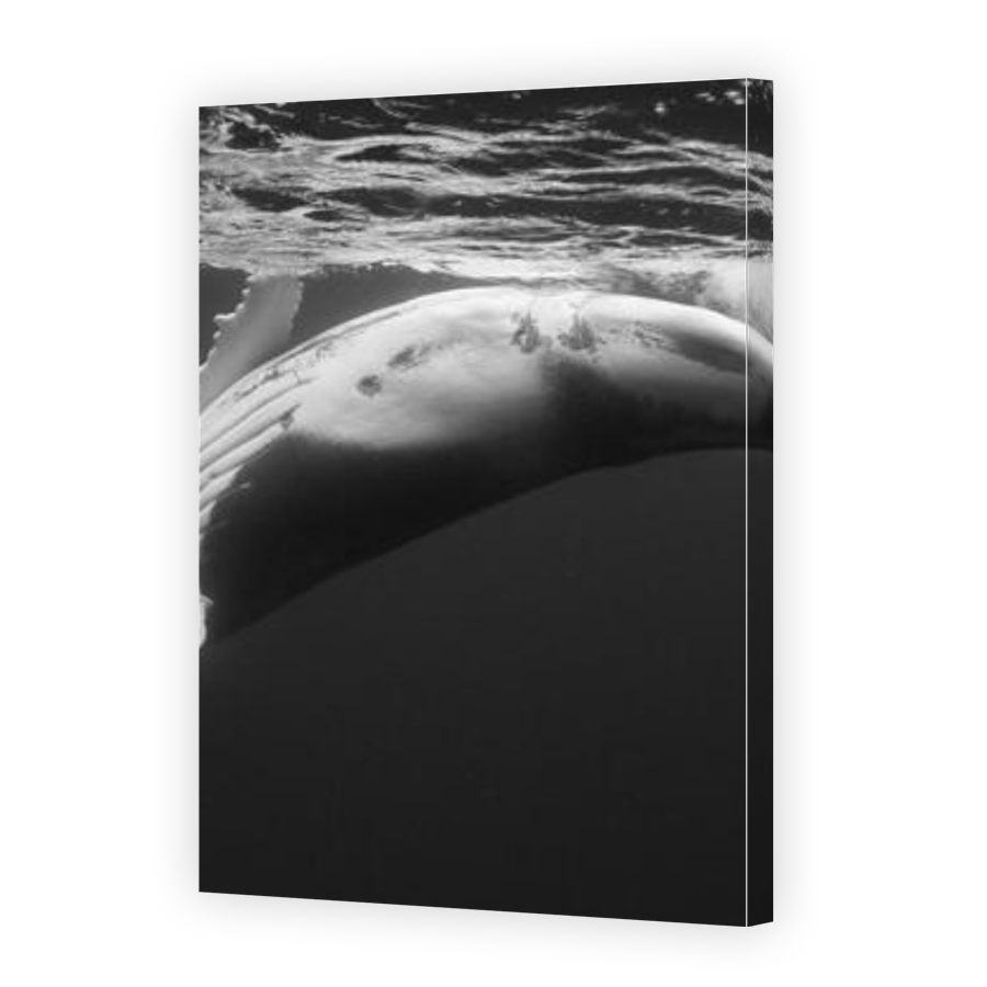 Thumbnail for Canvas - Gallery Canvas Wrap