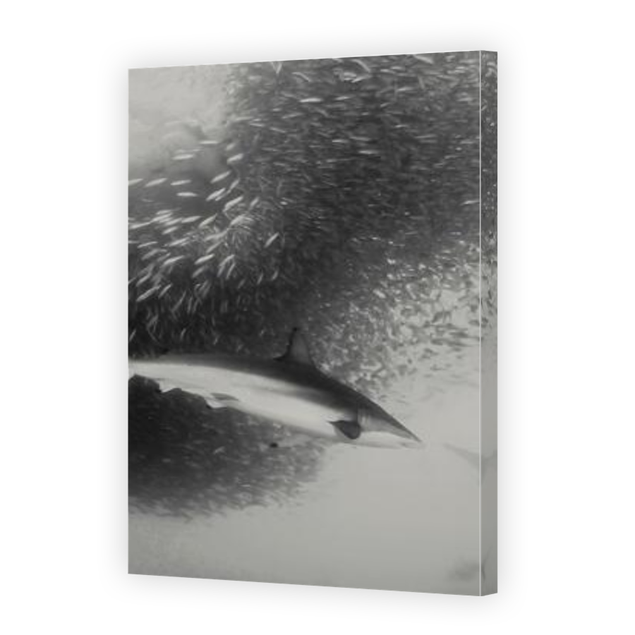 Thumbnail for Canvas - Gallery Canvas Wrap