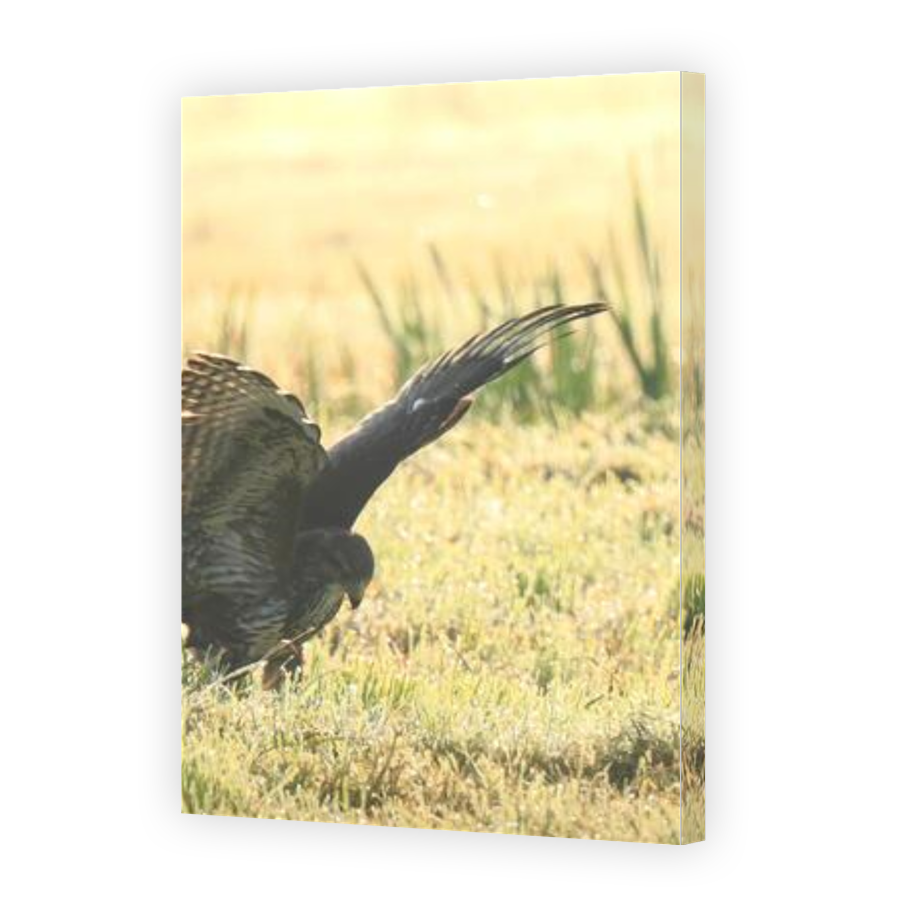 Thumbnail for Canvas - Gallery Canvas Wrap