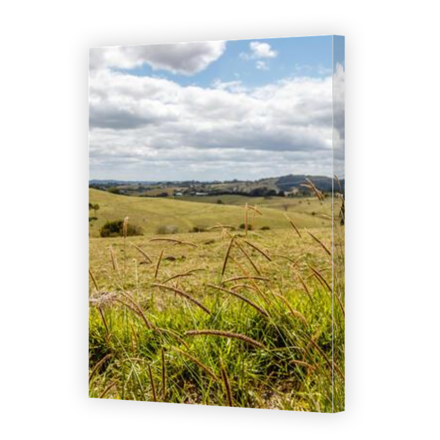 Thumbnail for Canvas - Gallery Canvas Wrap