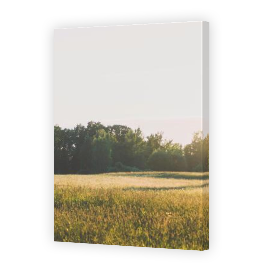 Thumbnail for Canvas - Gallery Canvas Wrap