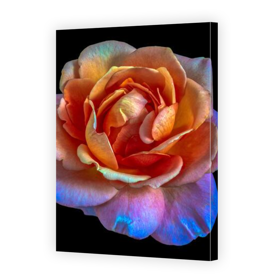 Thumbnail for Canvas - Gallery Canvas Wrap