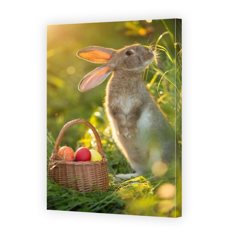 Thumbnail for Canvas - Gallery Canvas Wrap