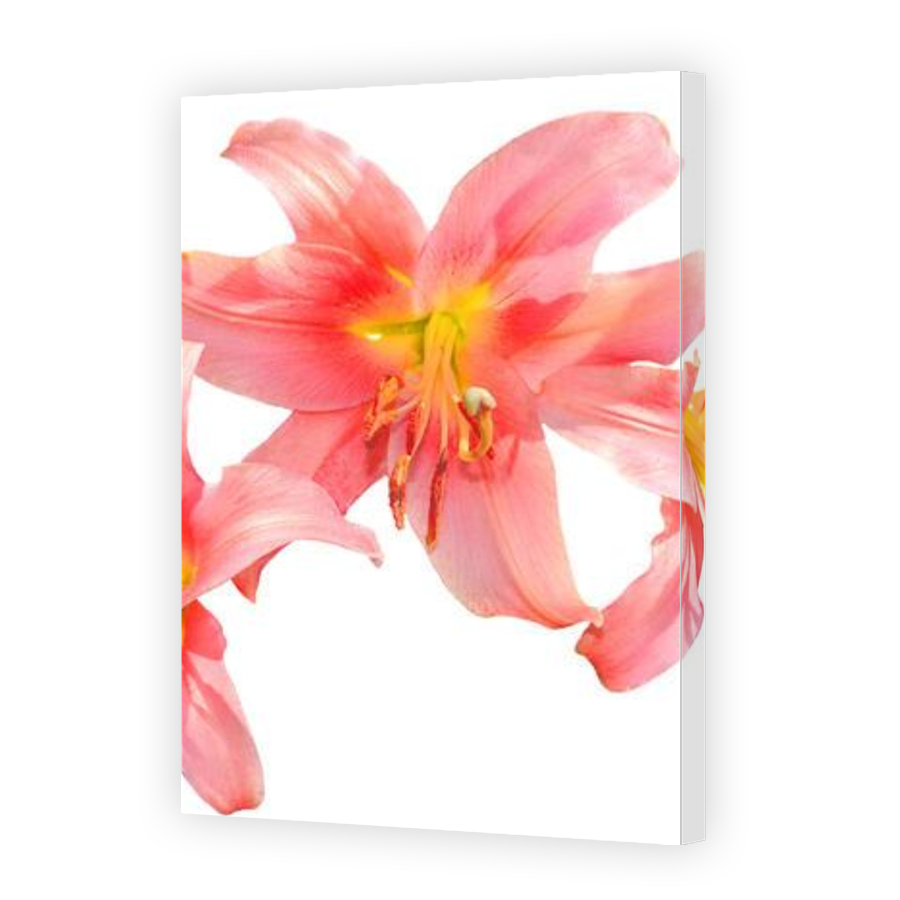 Thumbnail for Canvas - Gallery Canvas Wrap