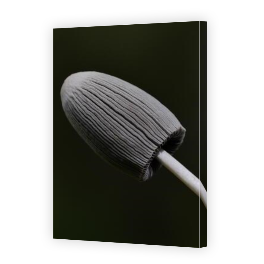 Thumbnail for Canvas - Gallery Canvas Wrap