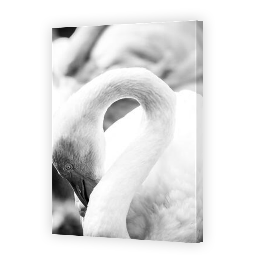 Thumbnail for Canvas - Gallery Canvas Wrap