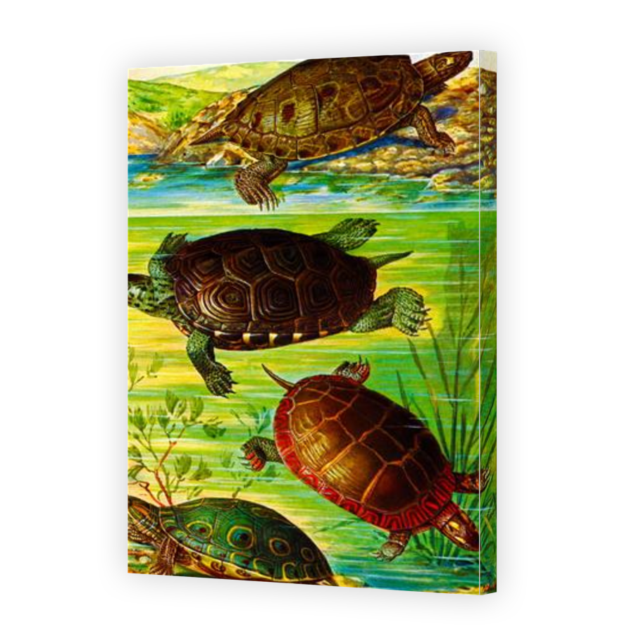 Thumbnail for Canvas - Gallery Canvas Wrap