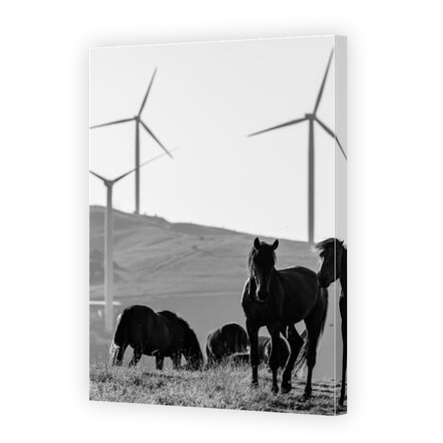 Thumbnail for Canvas - Gallery Canvas Wrap