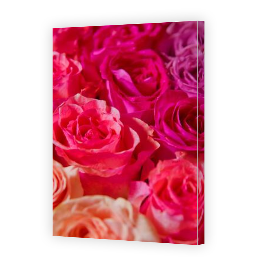 Thumbnail for Canvas - Gallery Canvas Wrap
