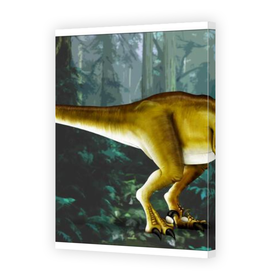 Thumbnail for Canvas - Gallery Canvas Wrap