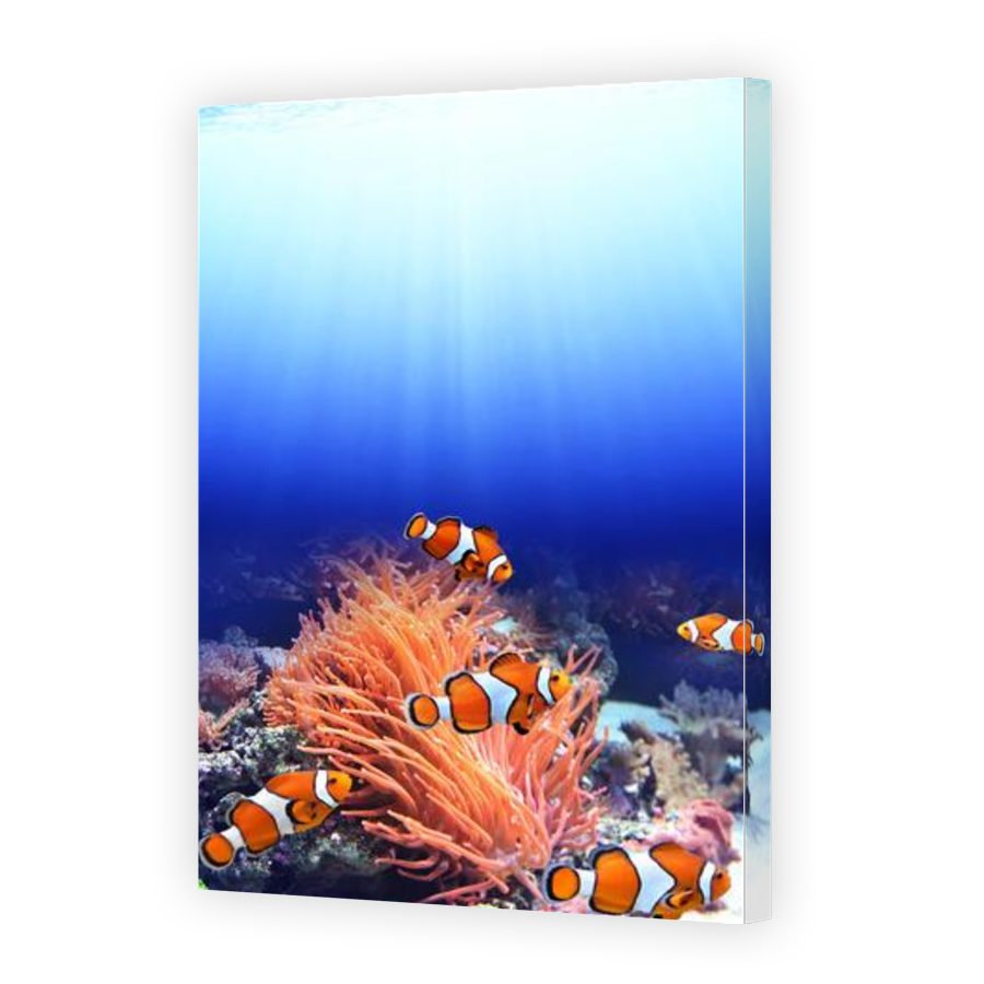 Thumbnail for Canvas - Gallery Canvas Wrap