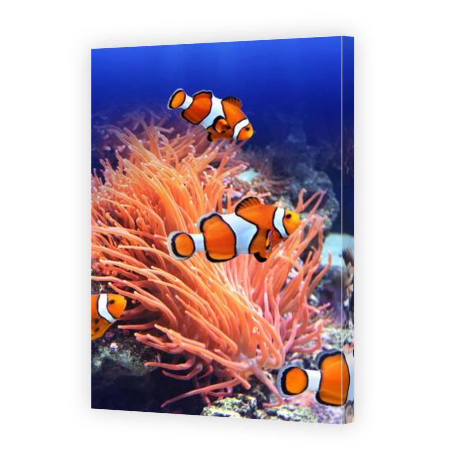 Thumbnail for Canvas - Gallery Canvas Wrap