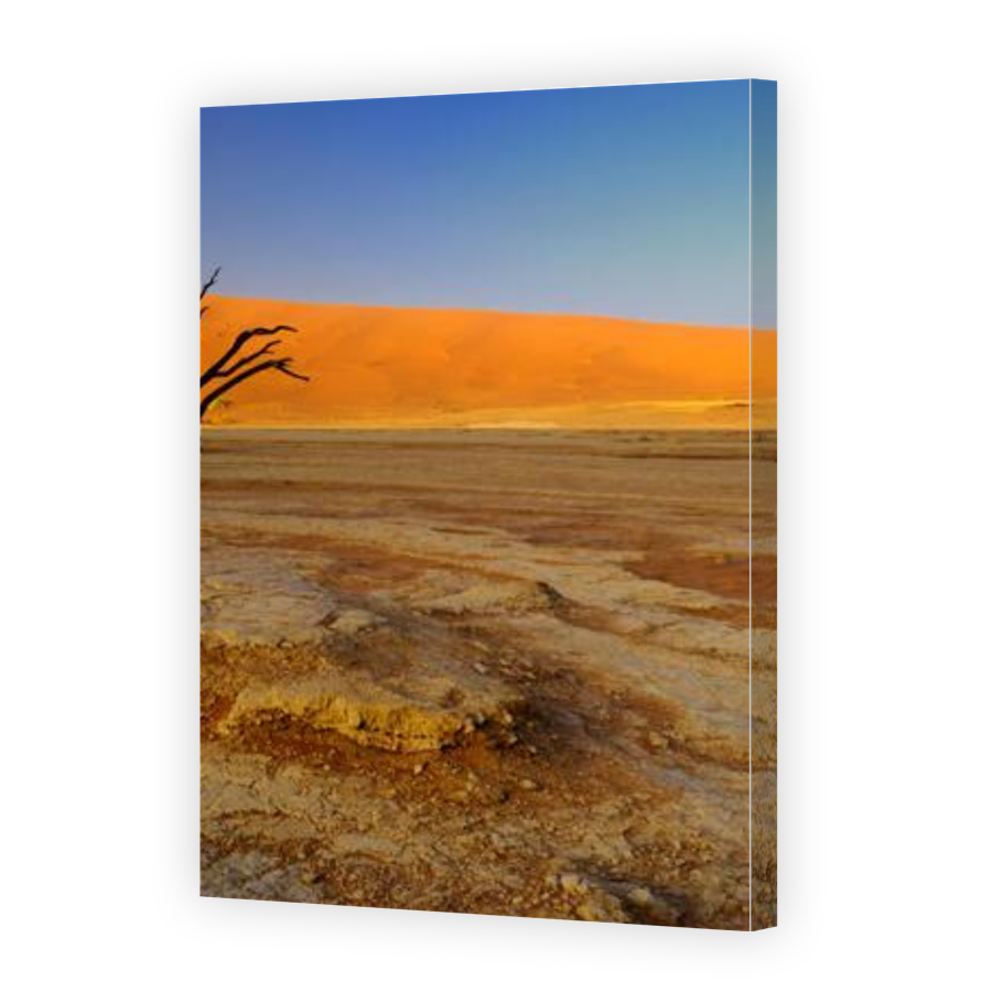 Thumbnail for Canvas - Gallery Canvas Wrap