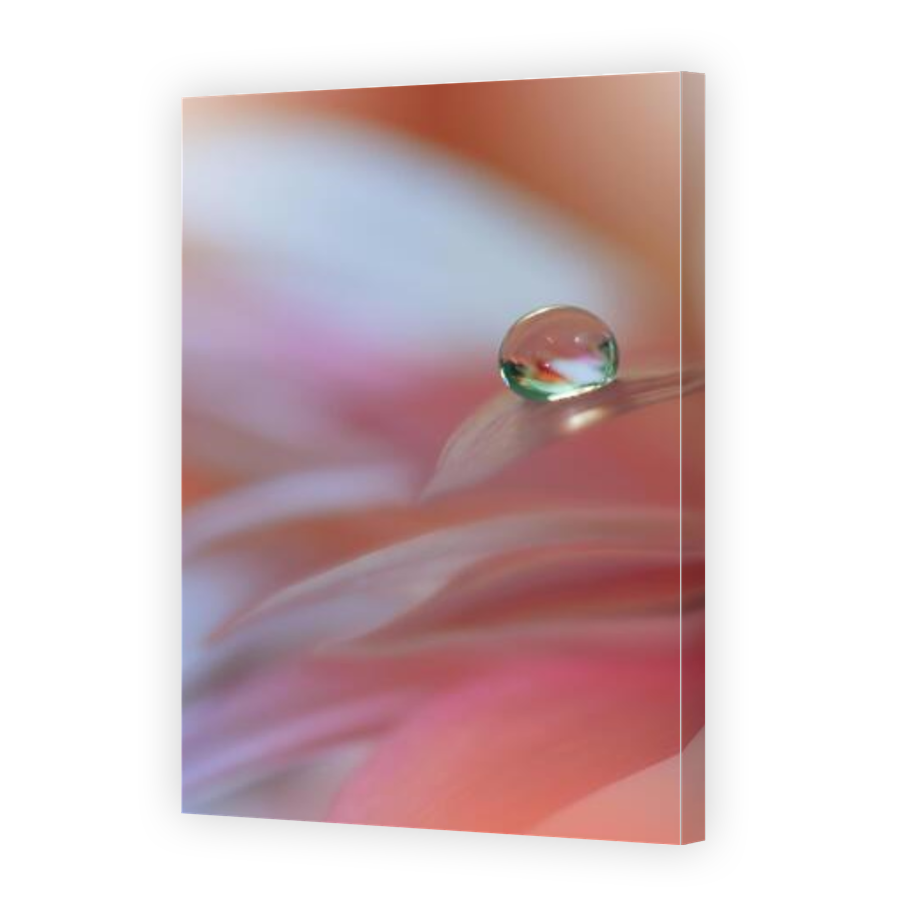 Thumbnail for Canvas - Gallery Canvas Wrap