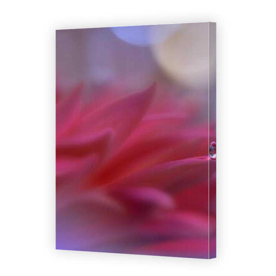Thumbnail for Canvas - Gallery Canvas Wrap