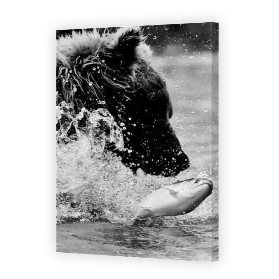 Thumbnail for Canvas - Gallery Canvas Wrap
