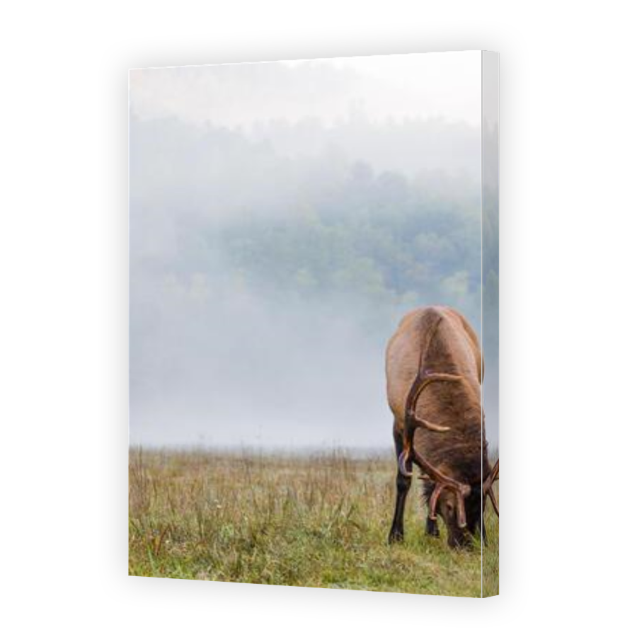 Thumbnail for Canvas - Gallery Canvas Wrap