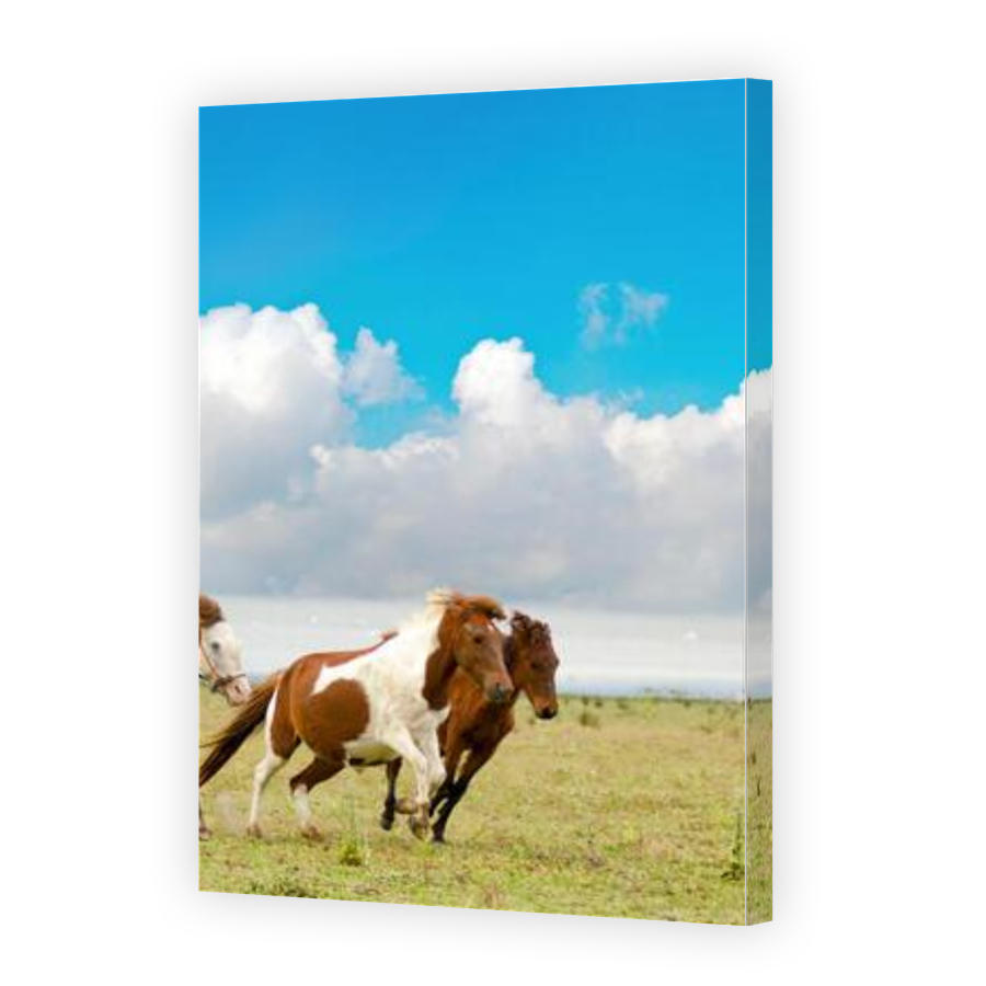 Thumbnail for Canvas - Gallery Canvas Wrap