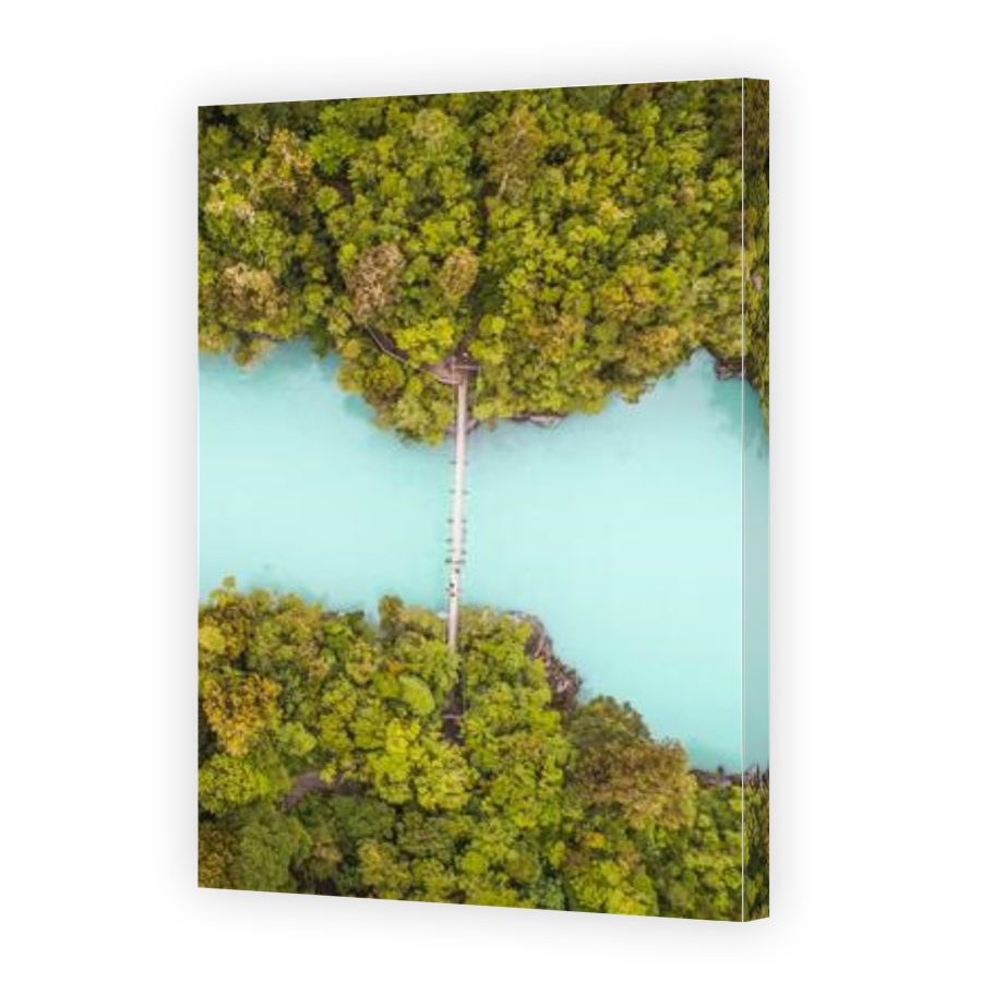 Thumbnail for Canvas - Gallery Canvas Wrap