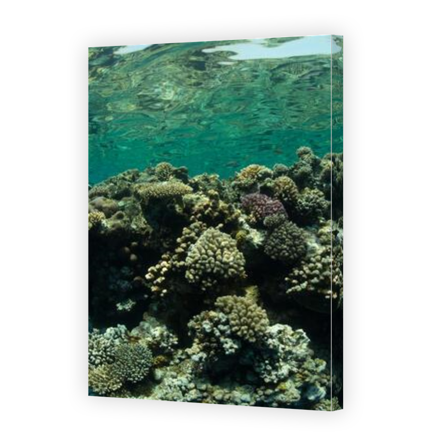Thumbnail for Canvas - Gallery Canvas Wrap