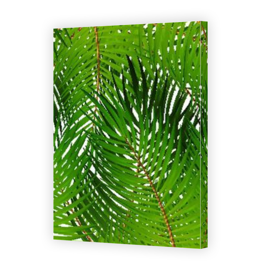 Thumbnail for Canvas - Gallery Canvas Wrap