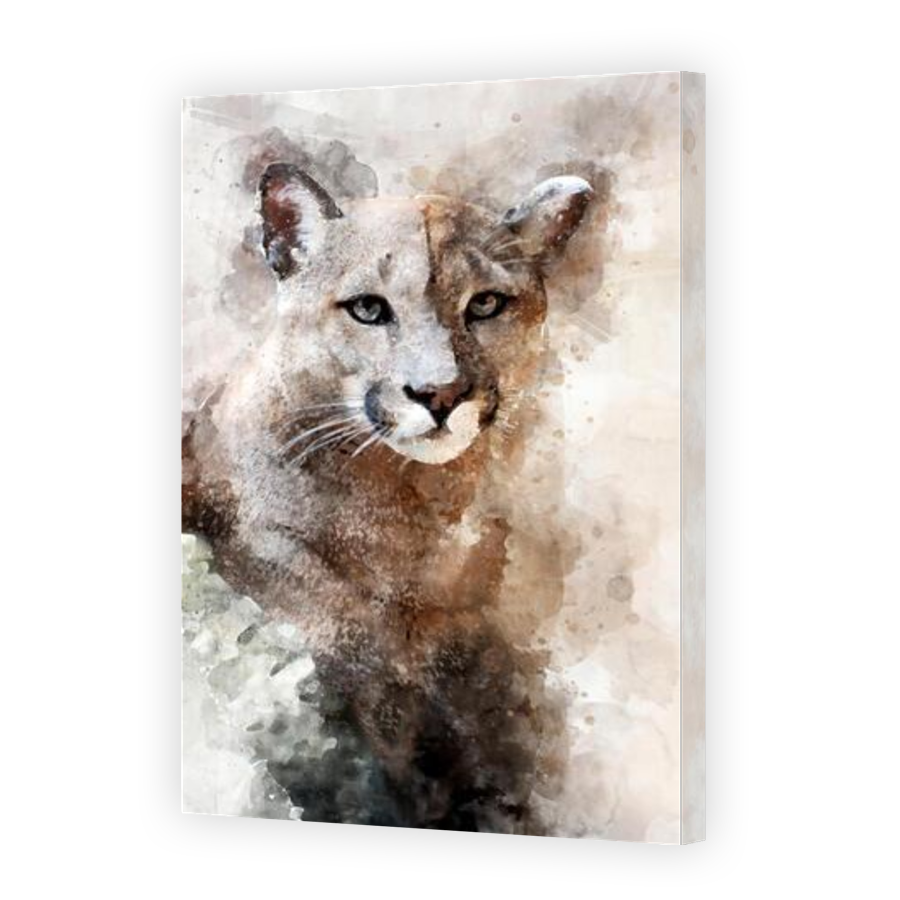 Thumbnail for Canvas - Gallery Canvas Wrap