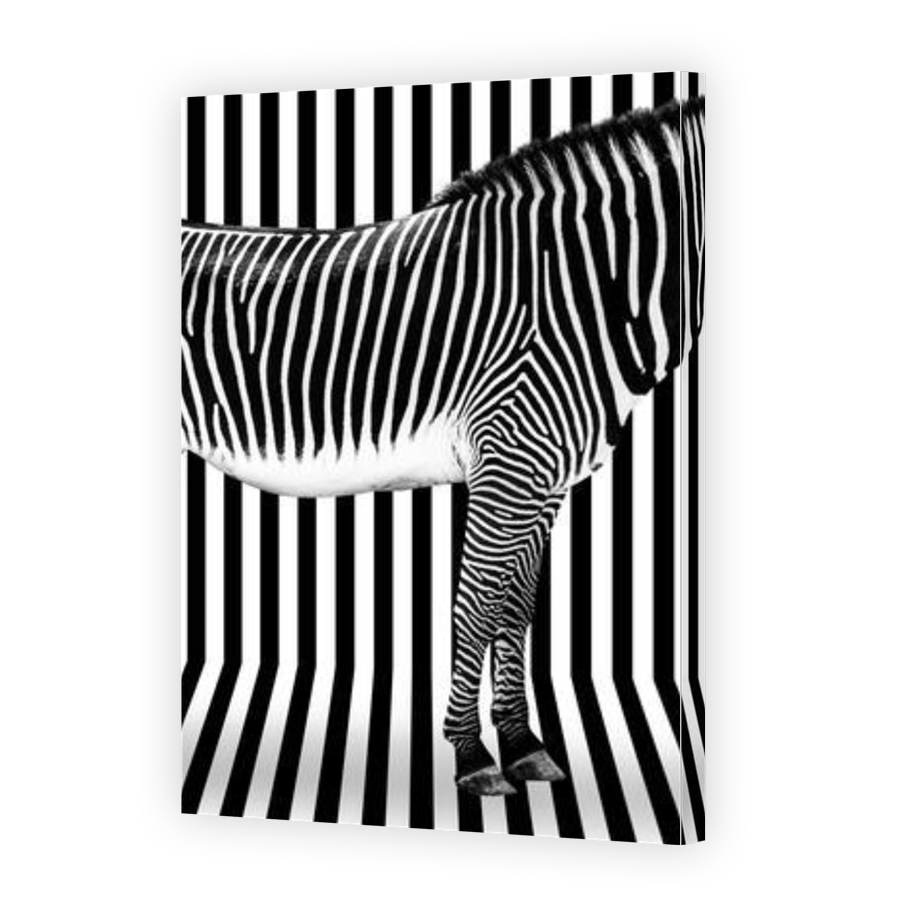 Thumbnail for Canvas - Gallery Canvas Wrap