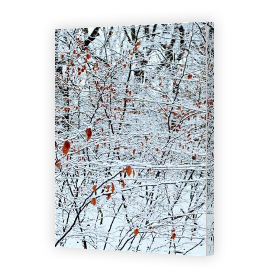 Thumbnail for Canvas - Gallery Canvas Wrap